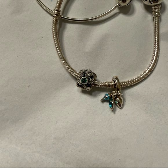 Pandora Bracelet Bundle Snake Chain + Bangle + 2 charms - Picture 3 of 16